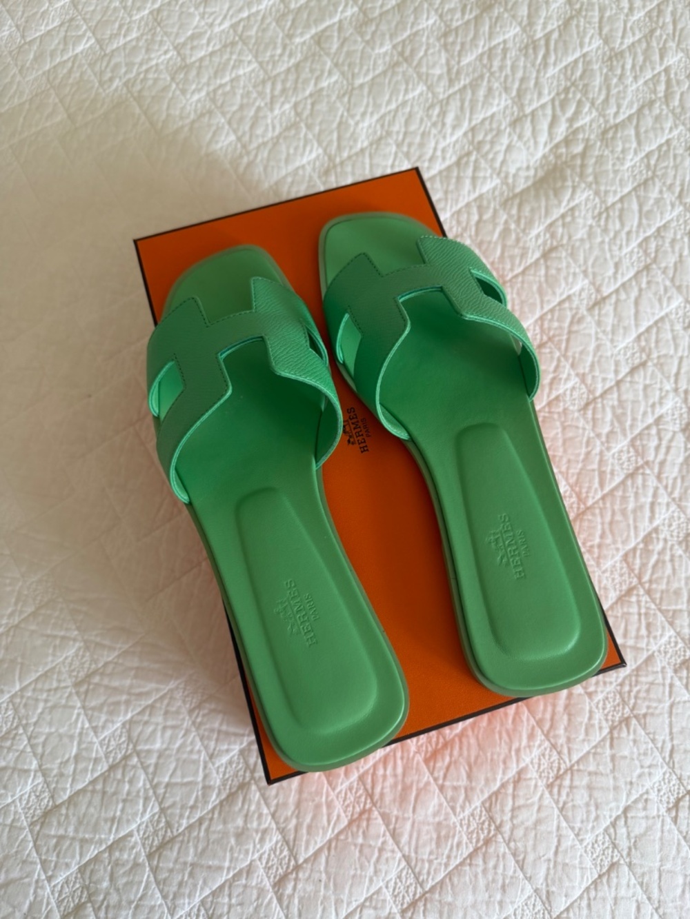 Hermes Orans - Picture 2 of 10